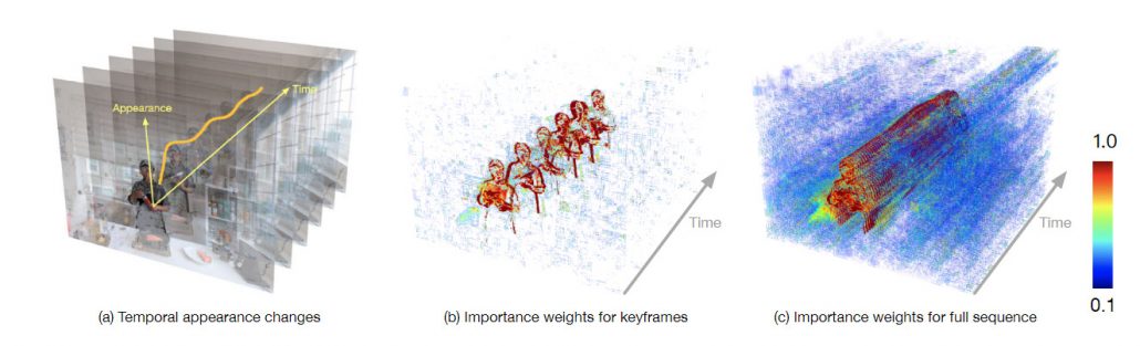 DyNeRF hierarchical training