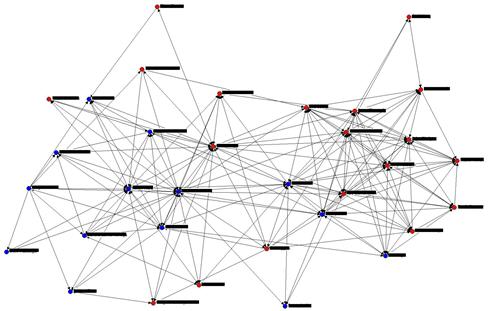 Image of networks linking professional firm and client across the relationship